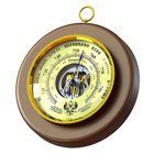 ПогодникЪ Классика RST 05710