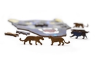 Деревянный пазл-головоломка EWA Пантера L (31x28 см)  коробка-шкатулка (epuz-panther)
